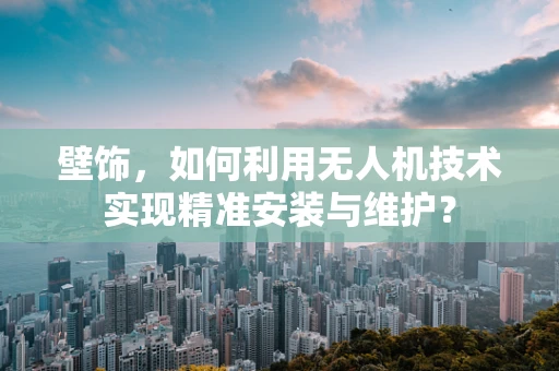壁饰，如何利用无人机技术实现精准安装与维护？