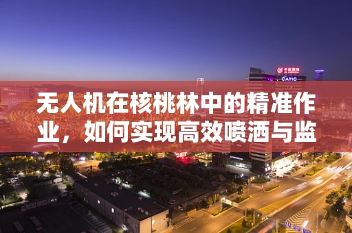无人机在核桃林中的精准作业，如何实现高效喷洒与监测？