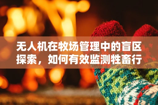 无人机在牧场管理中的盲区探索，如何有效监测牲畜行为？