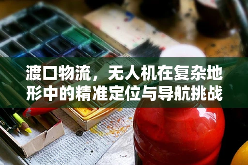 渡口物流，无人机在复杂地形中的精准定位与导航挑战