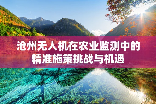 沧州无人机在农业监测中的精准施策挑战与机遇