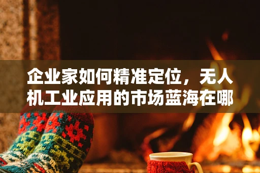 企业家如何精准定位，无人机工业应用的市场蓝海在哪里？