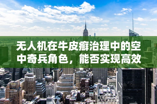 无人机在牛皮癣治理中的空中奇兵角色，能否实现高效精准打击？