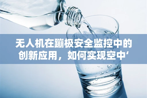 无人机在蹦极安全监控中的创新应用，如何实现空中‘守护者’？