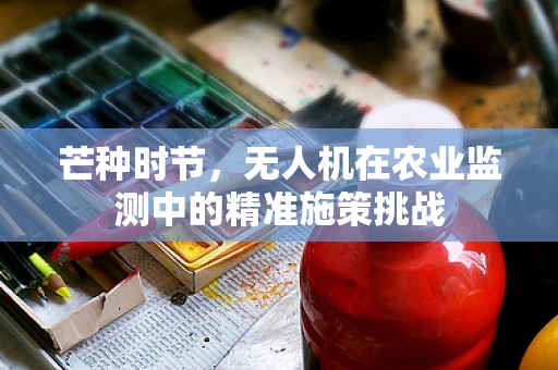 芒种时节，无人机在农业监测中的精准施策挑战