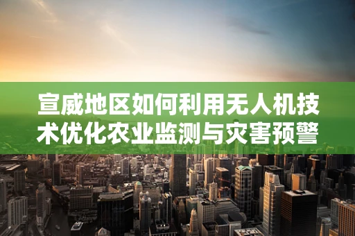 宣威地区如何利用无人机技术优化农业监测与灾害预警？