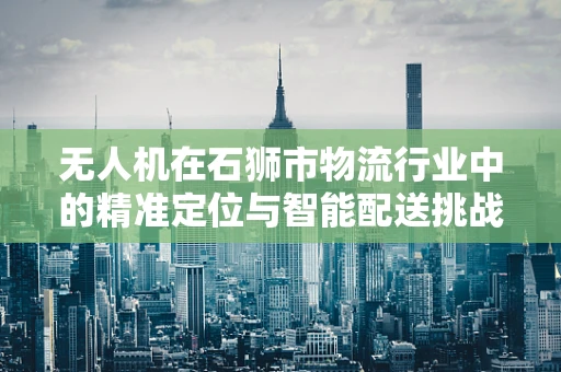 无人机在石狮市物流行业中的精准定位与智能配送挑战
