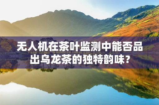 无人机在茶叶监测中能否品出乌龙茶的独特韵味？