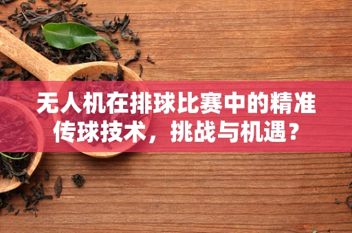 无人机在排球比赛中的精准传球技术，挑战与机遇？