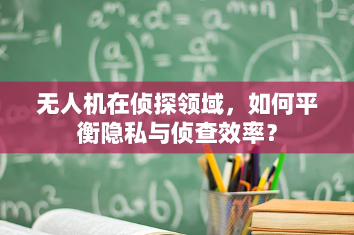 无人机在侦探领域，如何平衡隐私与侦查效率？