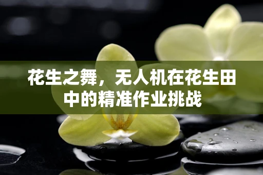花生之舞，无人机在花生田中的精准作业挑战