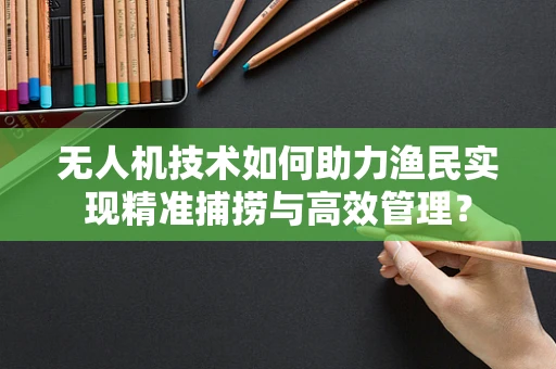 无人机技术如何助力渔民实现精准捕捞与高效管理？