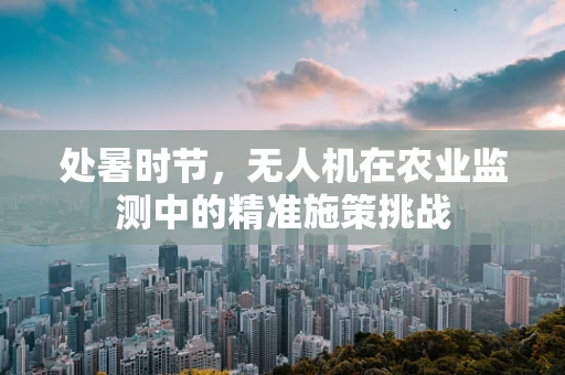 处暑时节，无人机在农业监测中的精准施策挑战