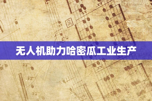 无人机助力哈密瓜工业生产