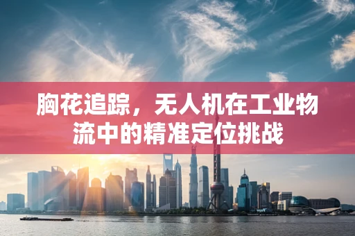 胸花追踪，无人机在工业物流中的精准定位挑战
