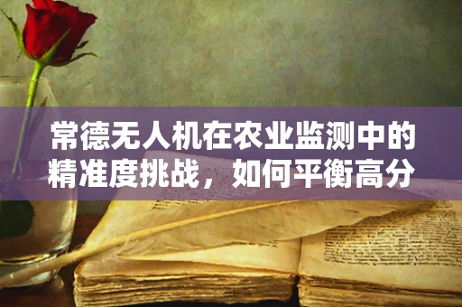 常德无人机在农业监测中的精准度挑战，如何平衡高分辨率与大范围覆盖？