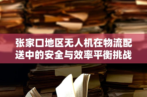 张家口地区无人机在物流配送中的安全与效率平衡挑战
