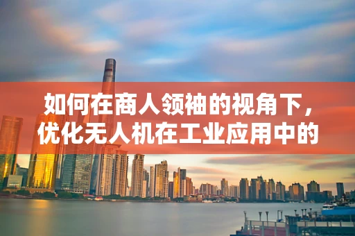 如何在商人领袖的视角下，优化无人机在工业应用中的投资回报？