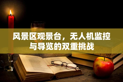 风景区观景台，无人机监控与导览的双重挑战