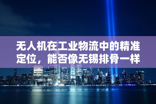 无人机在工业物流中的精准定位，能否像无锡排骨一样精准入味？