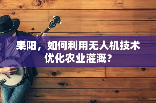 耒阳，如何利用无人机技术优化农业灌溉？