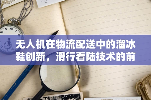 无人机在物流配送中的溜冰鞋创新，滑行着陆技术的前景与挑战