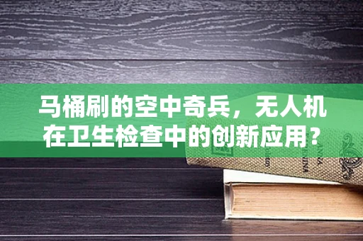 马桶刷的空中奇兵，无人机在卫生检查中的创新应用？
