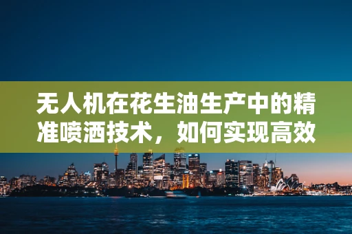 无人机在花生油生产中的精准喷洒技术，如何实现高效、均匀的油料喷洒？
