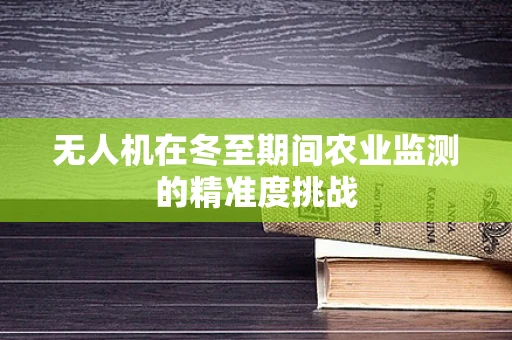 无人机在冬至期间农业监测的精准度挑战