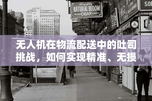 无人机在物流配送中的吐司挑战，如何实现精准、无损的货物运输？