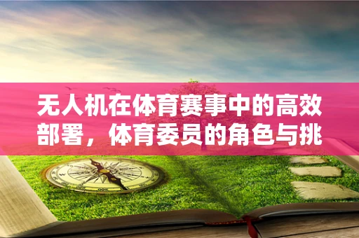 无人机在体育赛事中的高效部署，体育委员的角色与挑战