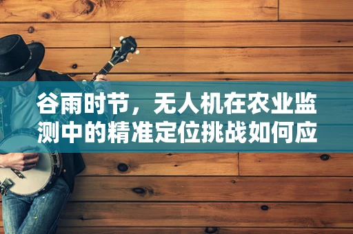 谷雨时节，无人机在农业监测中的精准定位挑战如何应对？