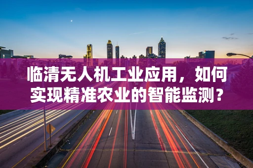 临清无人机工业应用，如何实现精准农业的智能监测？