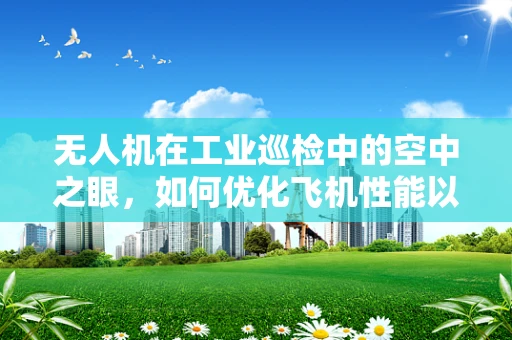 无人机在工业巡检中的空中之眼，如何优化飞机性能以提升检测效率？