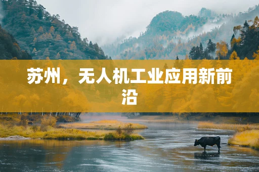 苏州，无人机工业应用新前沿