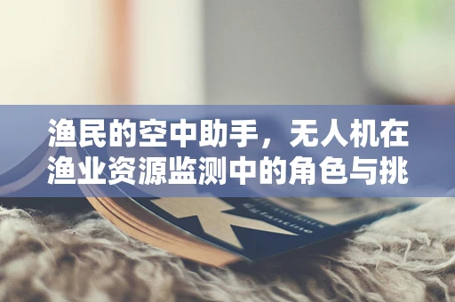渔民的空中助手，无人机在渔业资源监测中的角色与挑战