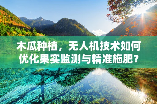 木瓜种植，无人机技术如何优化果实监测与精准施肥？