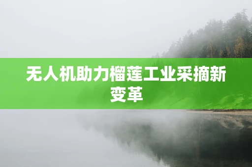 无人机助力榴莲工业采摘新变革