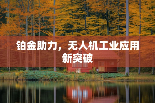 铂金助力，无人机工业应用新突破