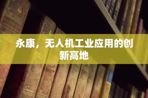 永康，无人机工业应用的创新高地