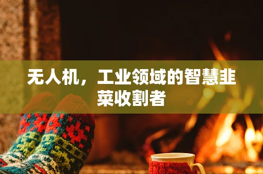 无人机，工业领域的智慧韭菜收割者