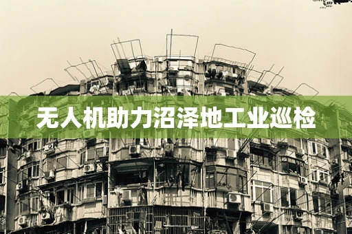 无人机助力沼泽地工业巡检