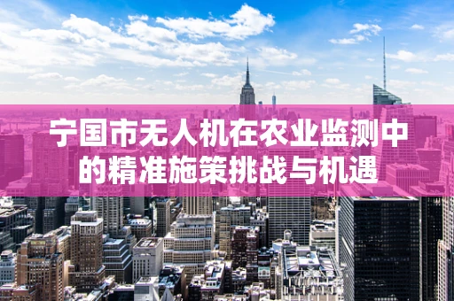 宁国市无人机在农业监测中的精准施策挑战与机遇