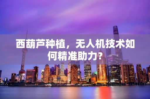 西葫芦种植，无人机技术如何精准助力？