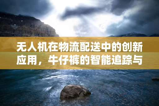 无人机在物流配送中的创新应用，牛仔裤的智能追踪与安全送达