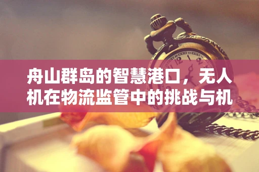 舟山群岛的智慧港口，无人机在物流监管中的挑战与机遇？