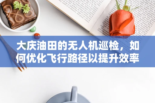大庆油田的无人机巡检，如何优化飞行路径以提升效率？