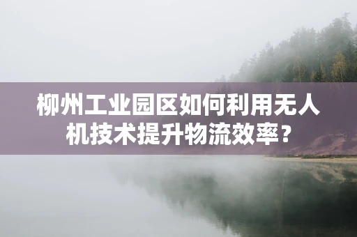 柳州工业园区如何利用无人机技术提升物流效率？