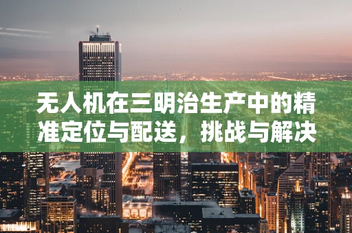 无人机在三明治生产中的精准定位与配送，挑战与解决方案