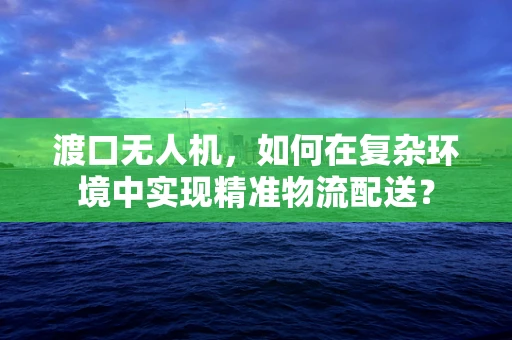 渡口无人机，如何在复杂环境中实现精准物流配送？